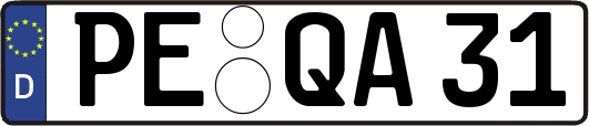 PE-QA31