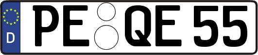 PE-QE55