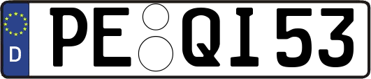 PE-QI53