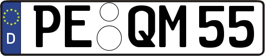 PE-QM55