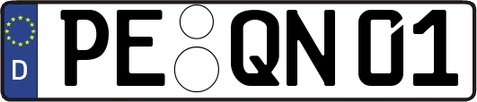 PE-QN01