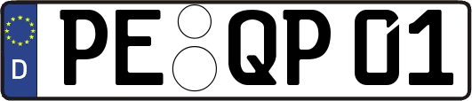PE-QP01