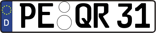 PE-QR31
