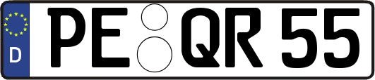 PE-QR55