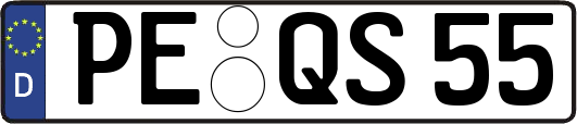PE-QS55