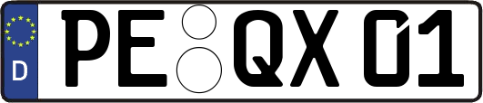 PE-QX01
