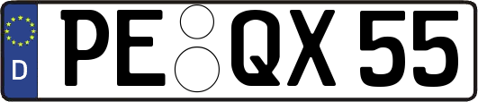 PE-QX55