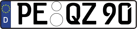 PE-QZ90