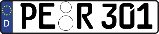 PE-R301