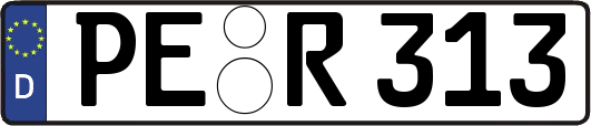 PE-R313