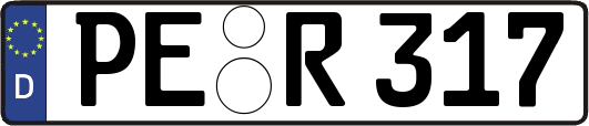 PE-R317