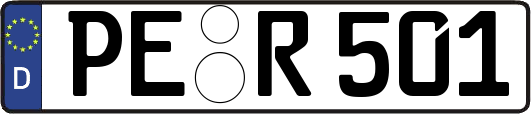 PE-R501