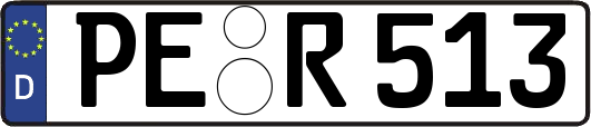 PE-R513