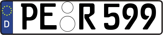 PE-R599
