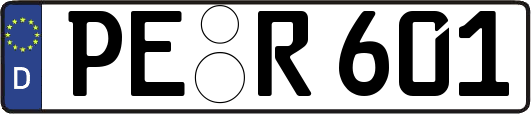 PE-R601