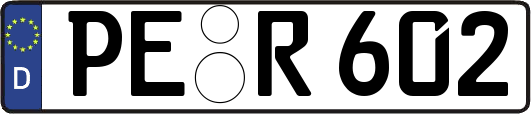 PE-R602