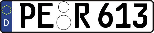 PE-R613