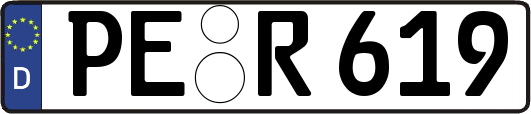 PE-R619