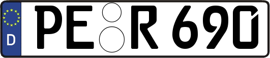 PE-R690