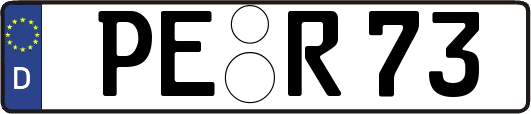 PE-R73