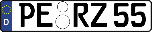 PE-RZ55