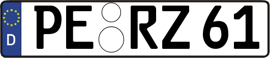 PE-RZ61