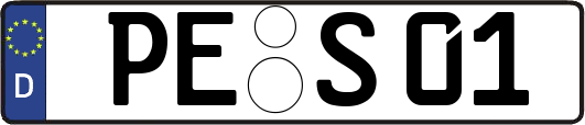 PE-S01