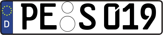 PE-S019