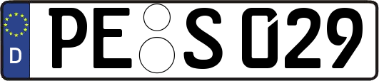 PE-S029