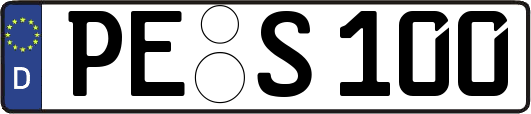 PE-S100