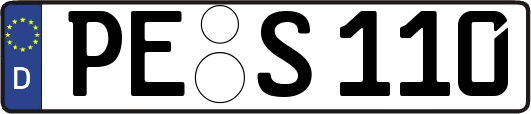PE-S110