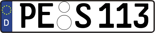PE-S113