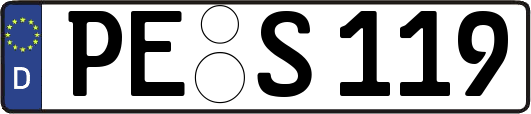 PE-S119
