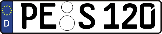 PE-S120