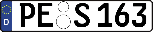 PE-S163
