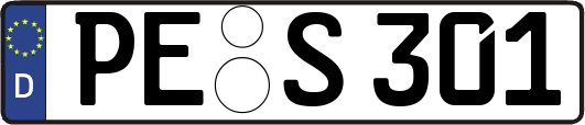 PE-S301