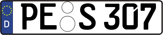 PE-S307