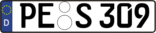 PE-S309