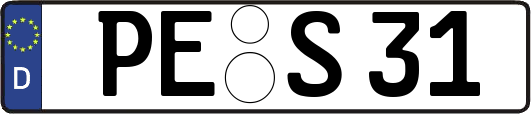 PE-S31