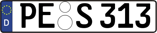 PE-S313