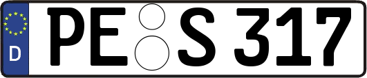 PE-S317
