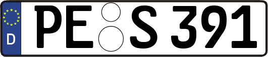 PE-S391
