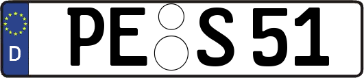 PE-S51