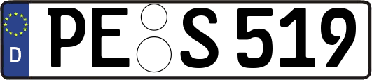 PE-S519