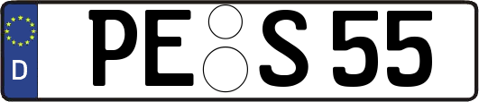 PE-S55
