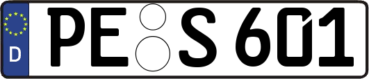 PE-S601