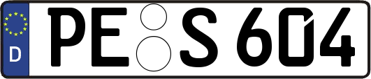 PE-S604