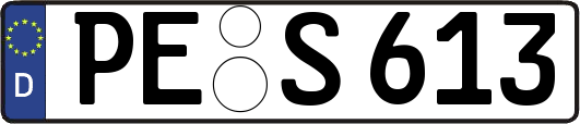 PE-S613