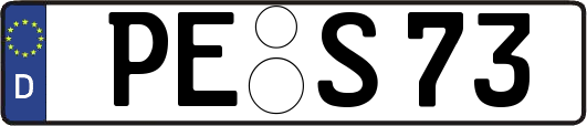 PE-S73