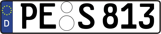 PE-S813